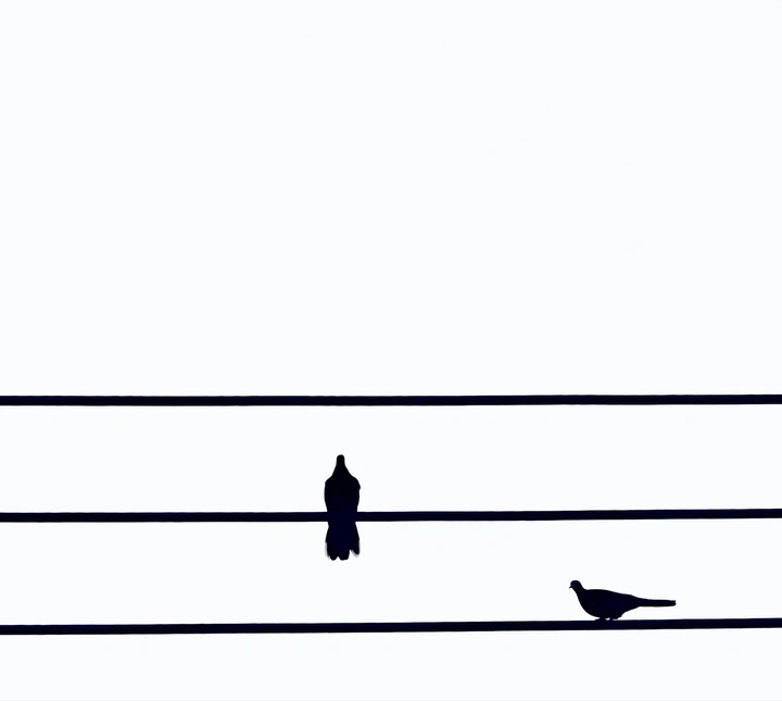 音符
