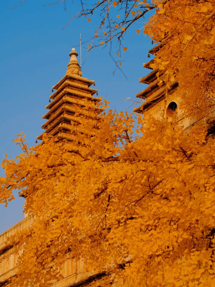 秋-五塔寺-历代帝王庙