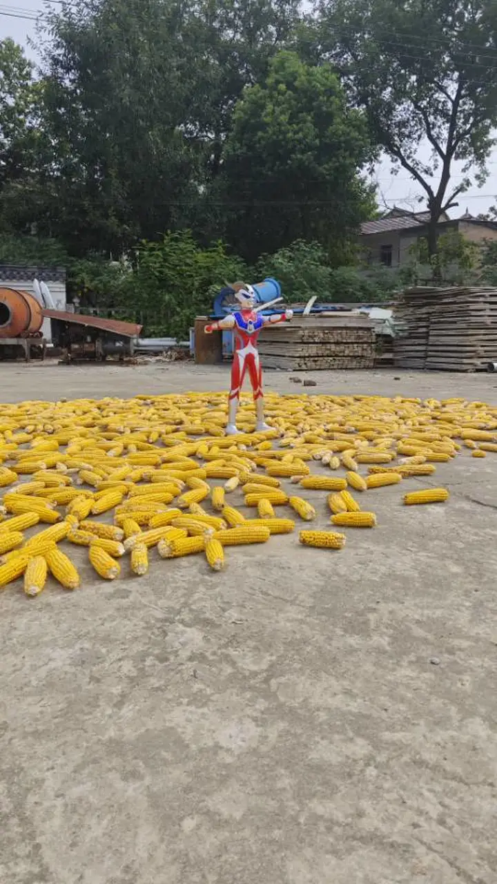 奥特曼有点忙