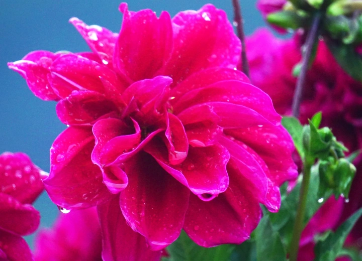 雨后
