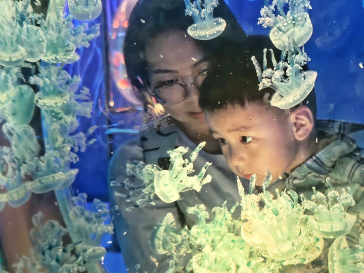 探秘