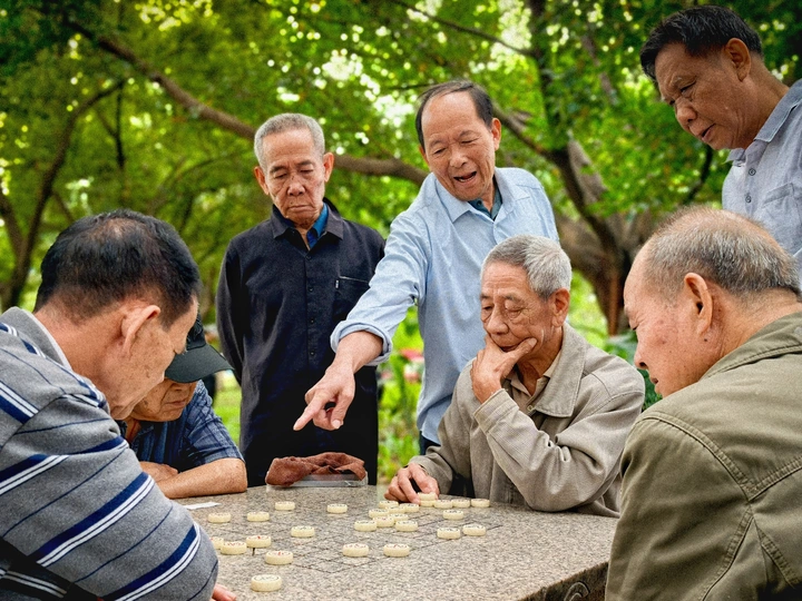树下棋谈