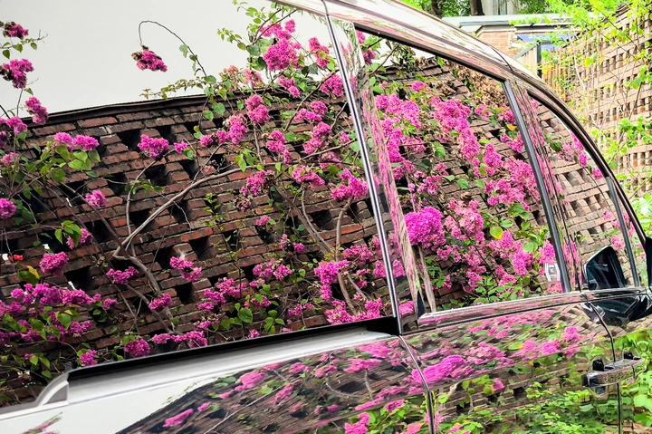车镜繁花掠影