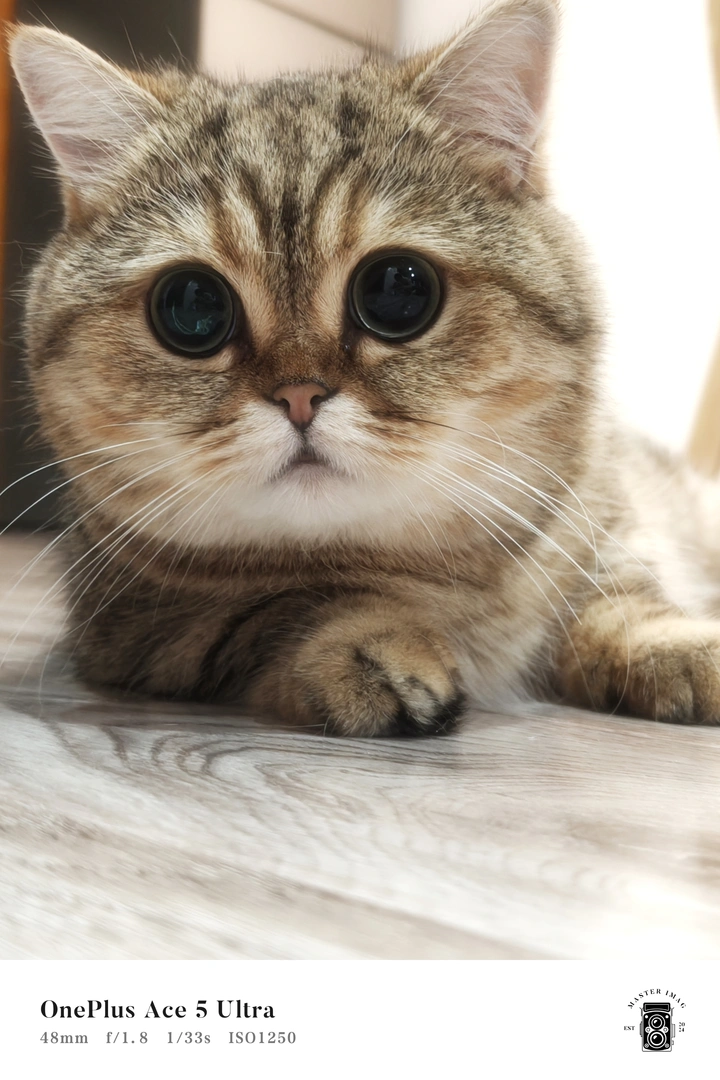 温柔的她