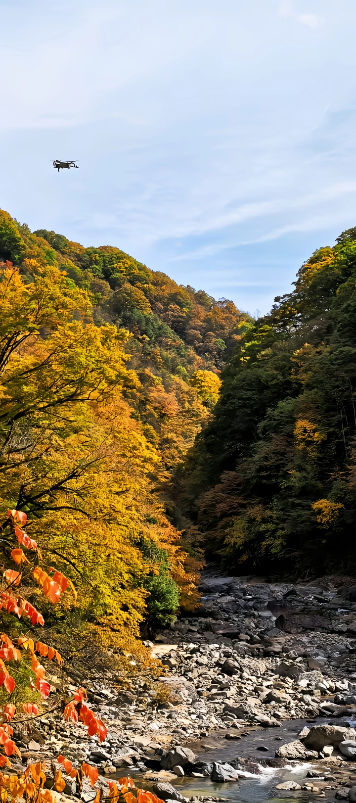 山涧秋色