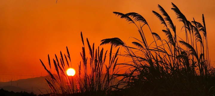 最美不过夕阳红