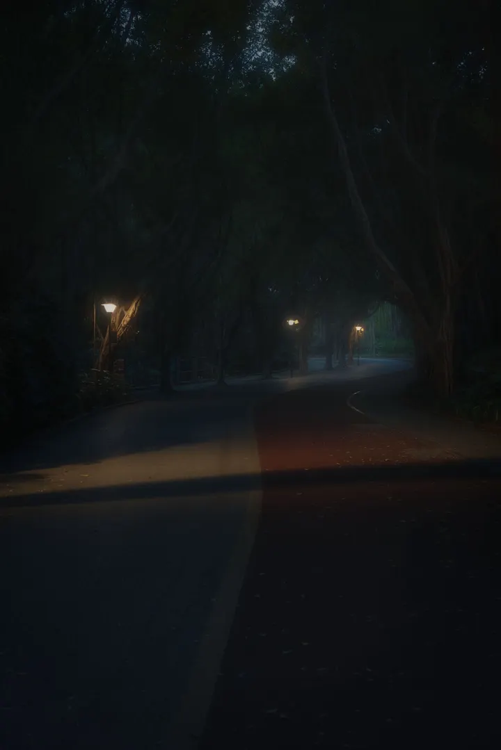 静谧的夜晚