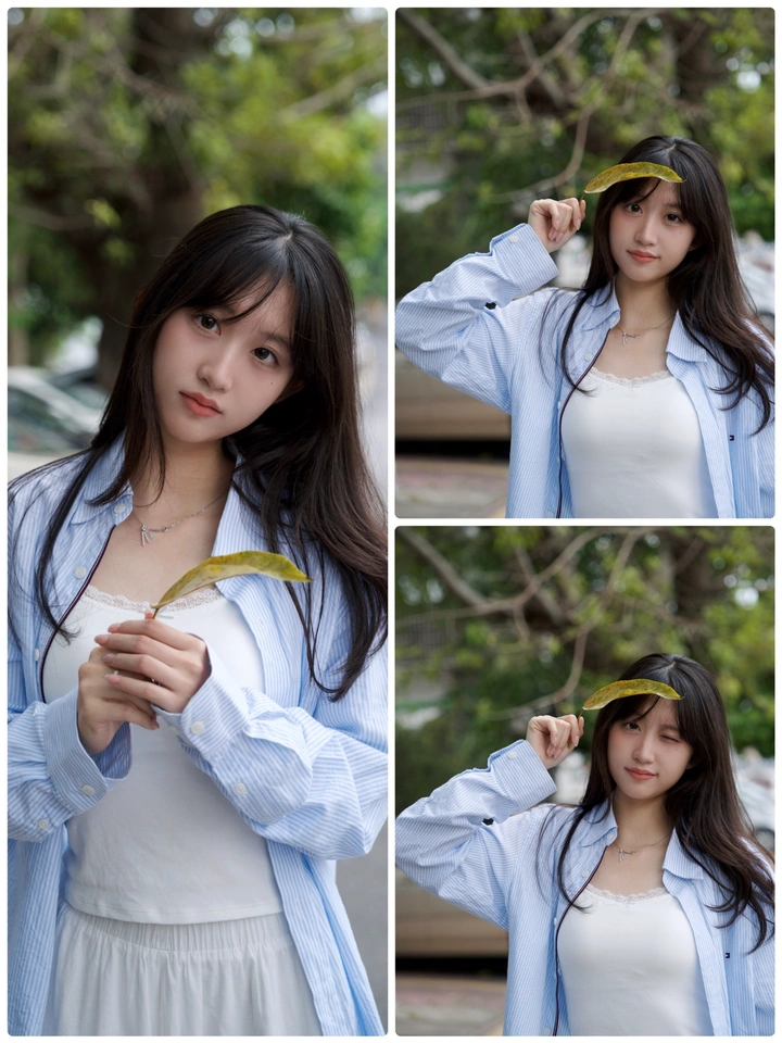 一叶之美
