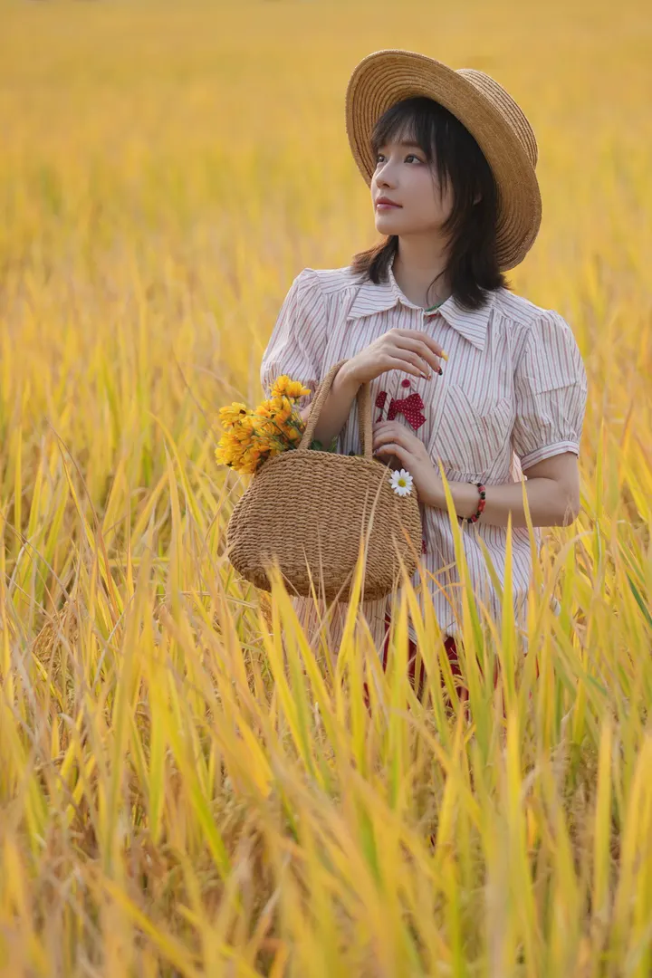 稻田女孩