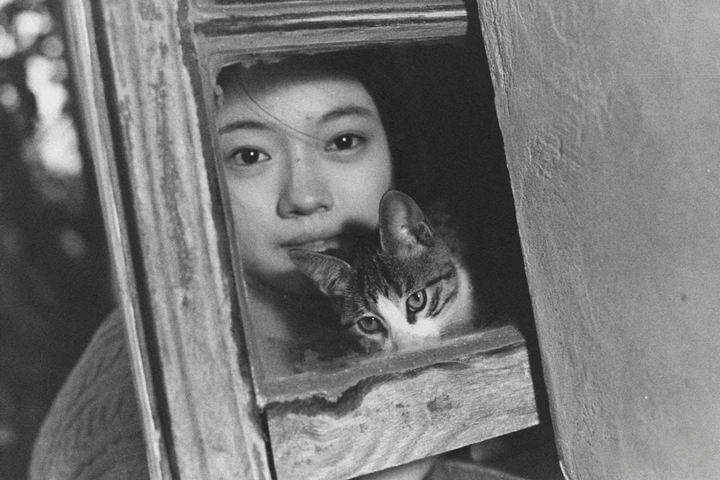 一个女孩与一只猫