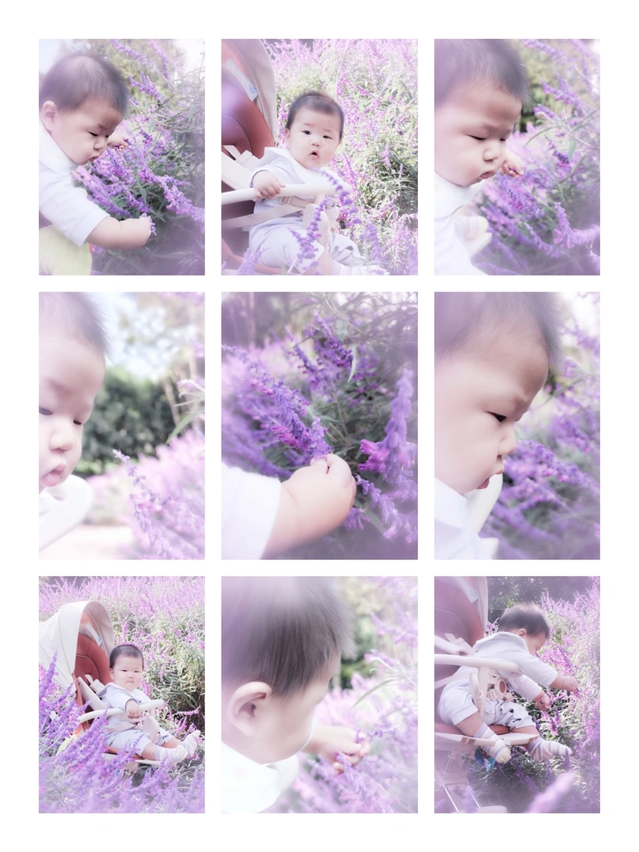 小宝贝掉进了紫色的花海