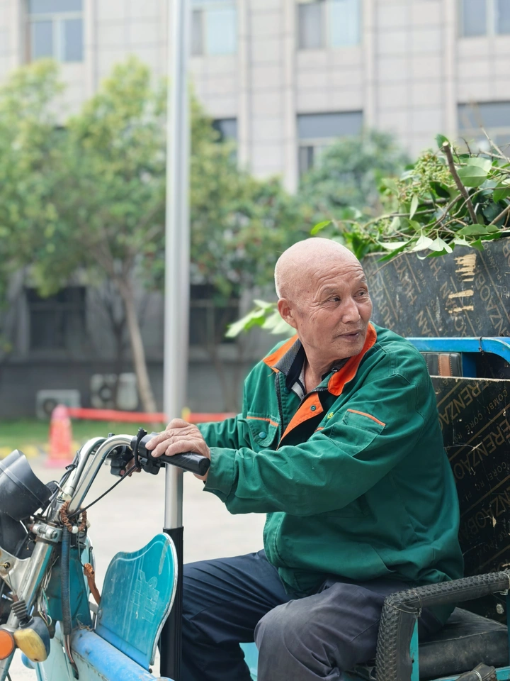 修剪树木的园林工