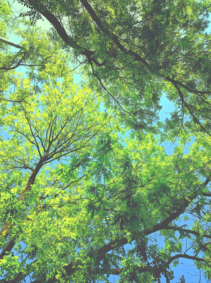 初夏～