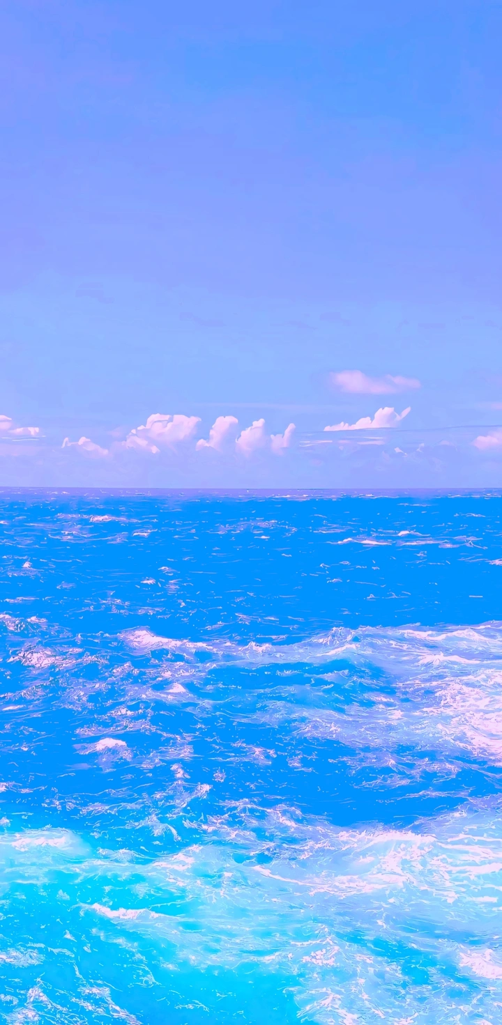 大海呀，大海～