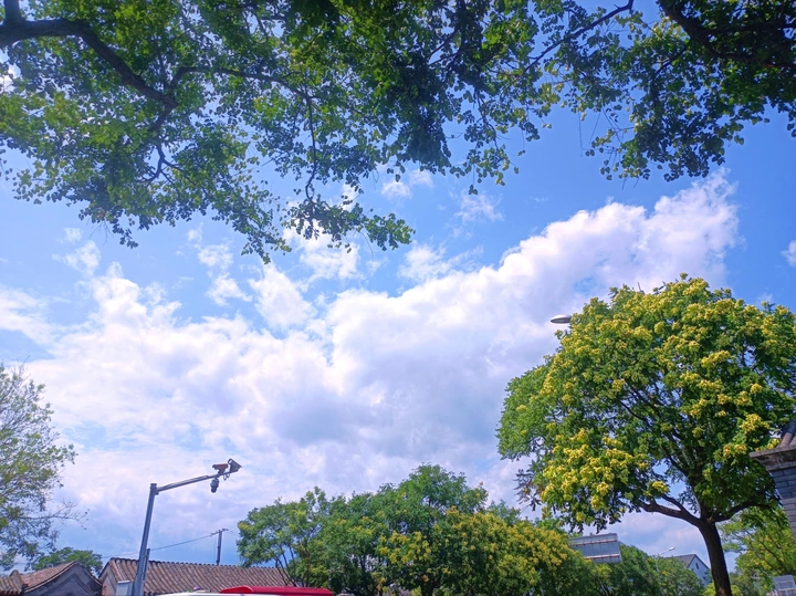 晴天🌞
