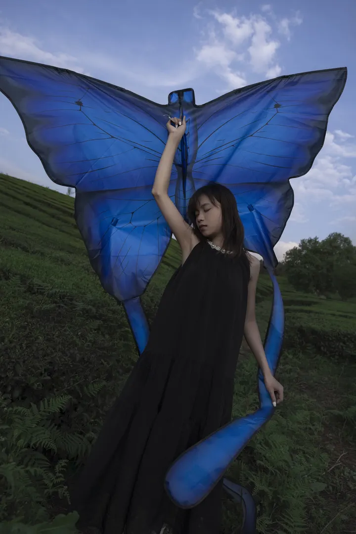 蝶🦋与蜕梦