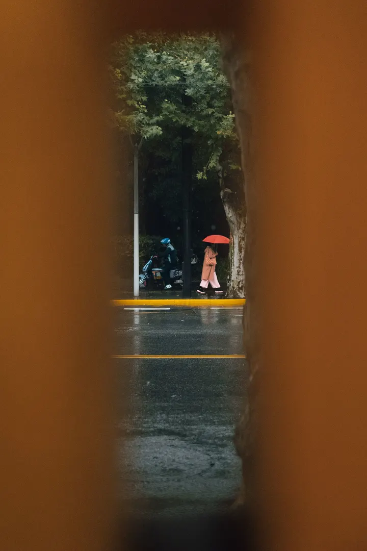 秋雨下午咖啡店窗外的抓拍☕️