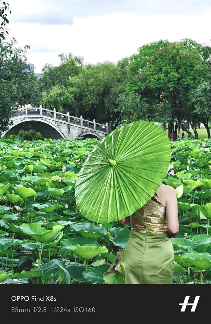 荷你在一起