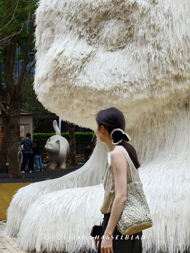 台风韦帕过后，深圳湾的她还好吗…