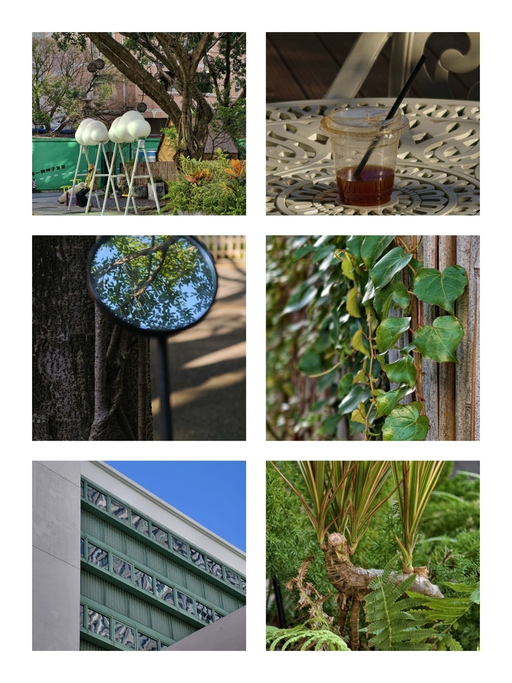 坏了，这个你真的能拍得出来·