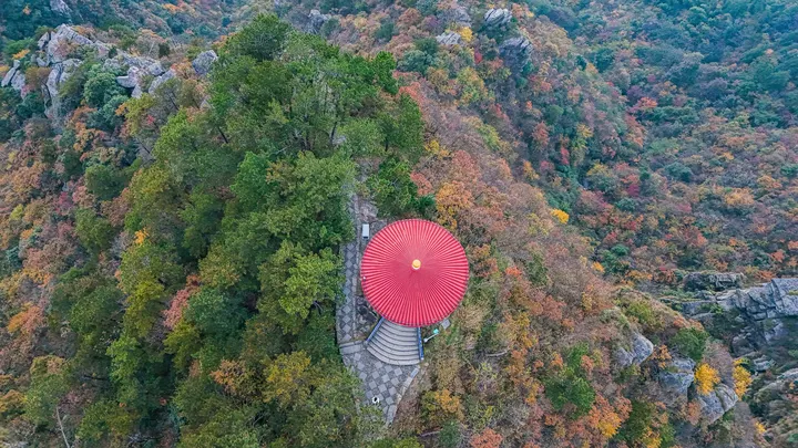 初见庐山-知秋