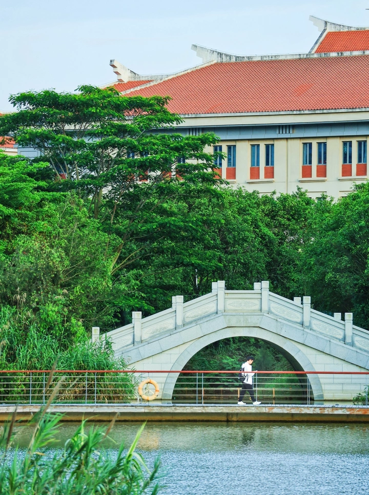 校园的风景