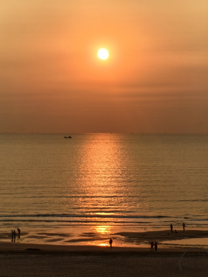 真 橘子海