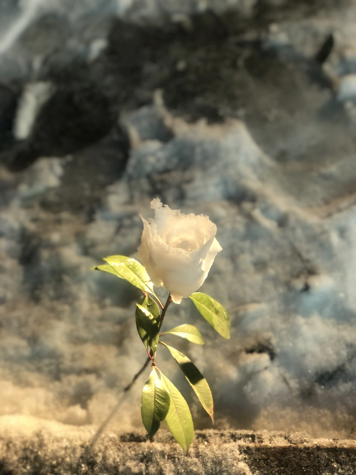 雪花
