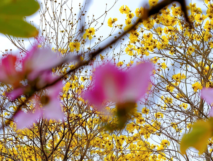 她与他