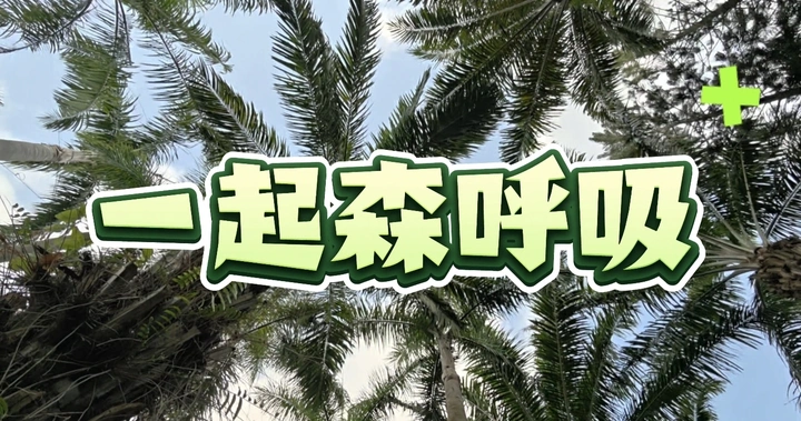 初夏·森呼吸