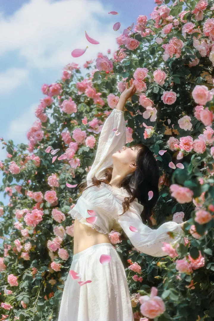 闯入玫瑰梦境🌸每一帧都美到窒