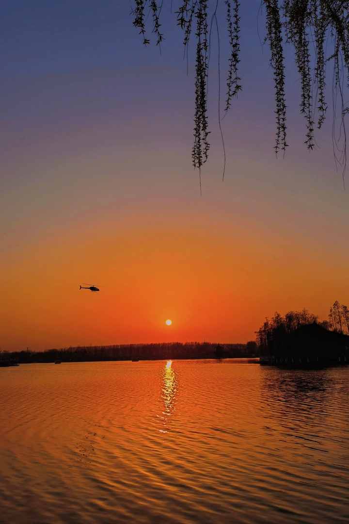 夕阳下