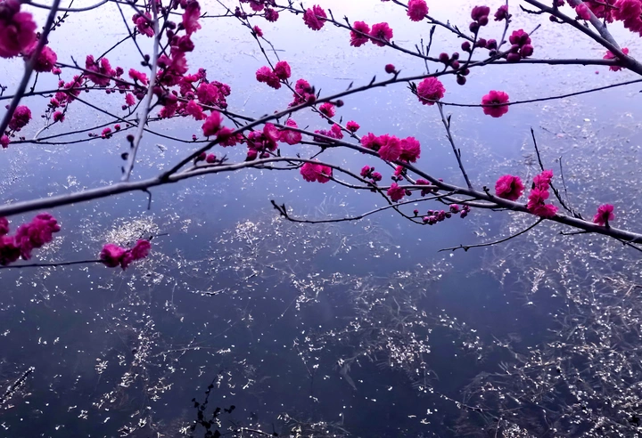 静静的湖畔