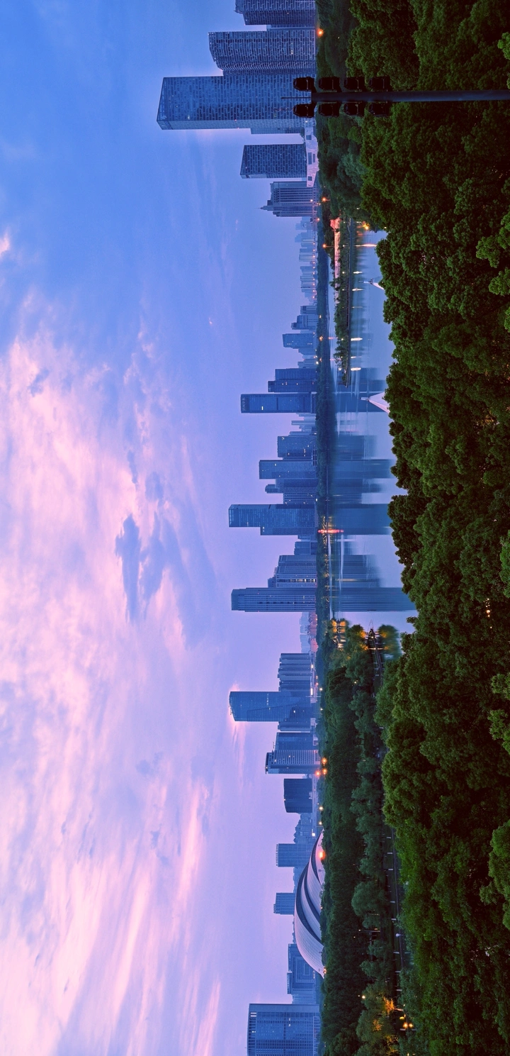 合肥市天鹅湖畔