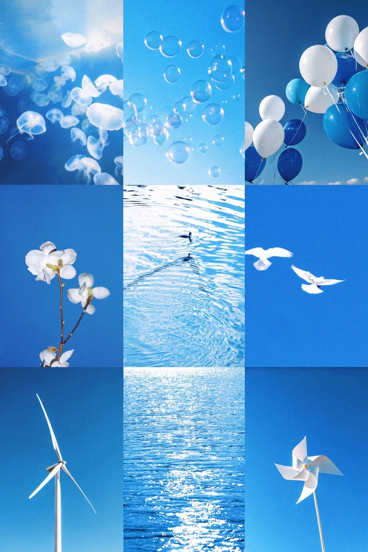 夏蓝海