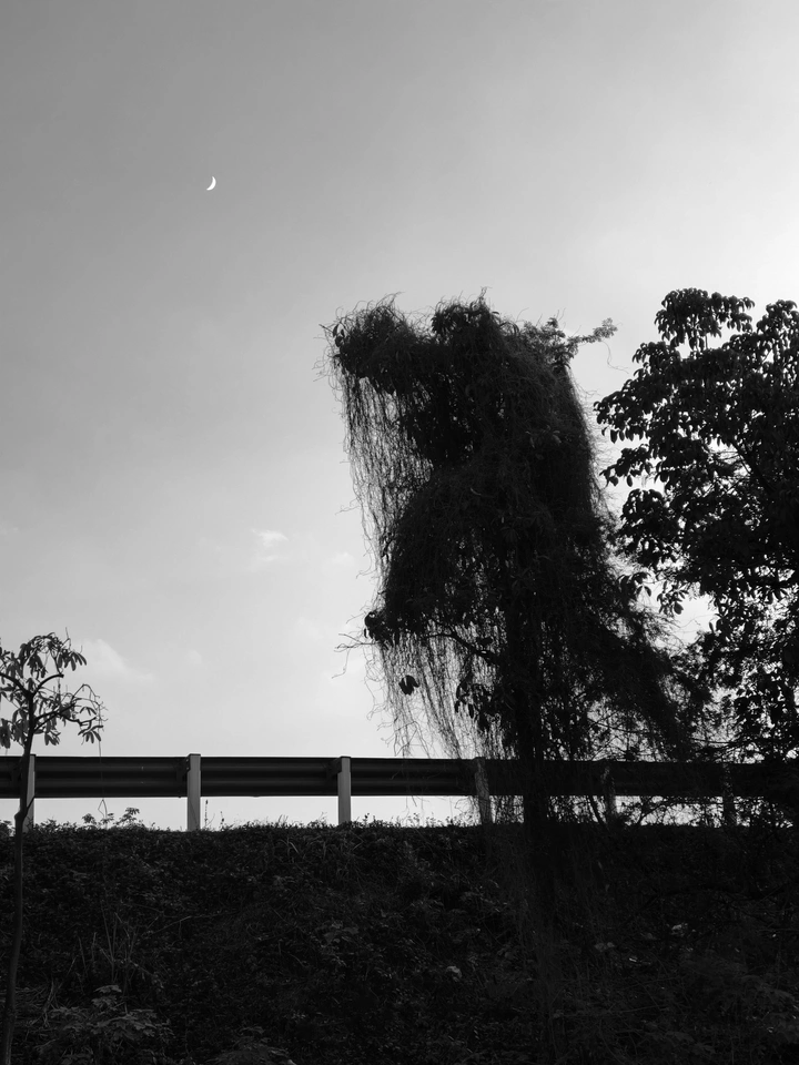 月亮崇拜