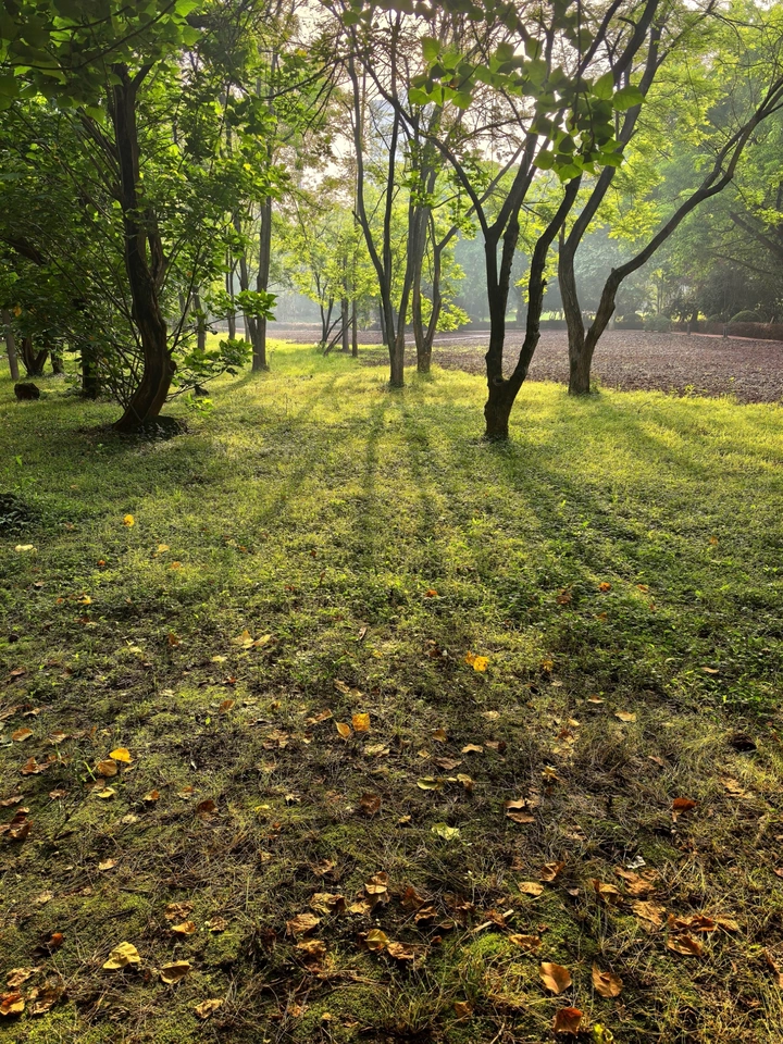 五一晨曦