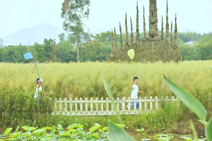 捕捉快乐