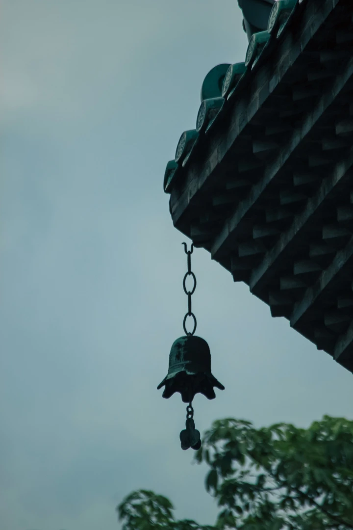 青秀山风景