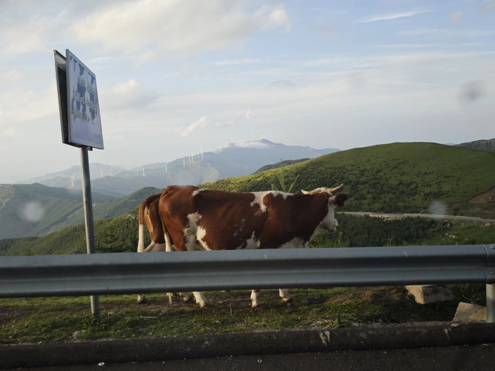 五台山