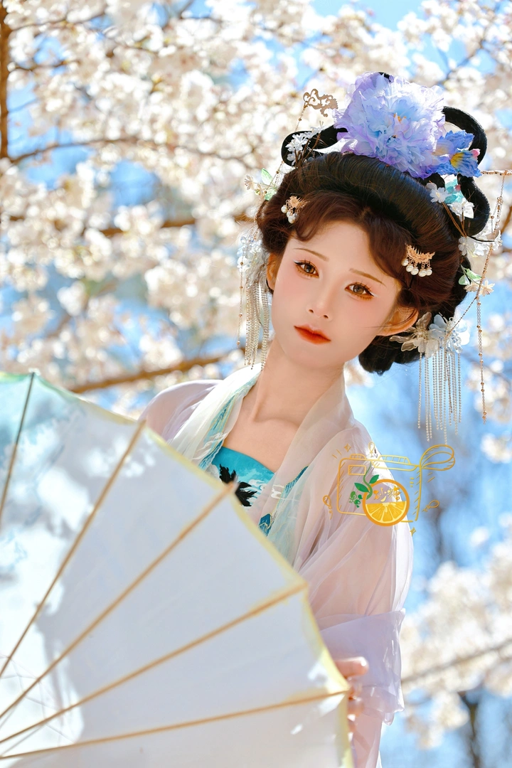 贵妃