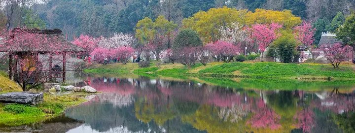 春日浣花溪