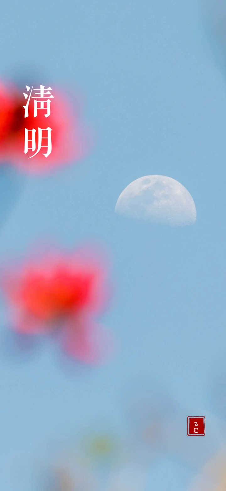 与春天同行，思念和希望同在。
