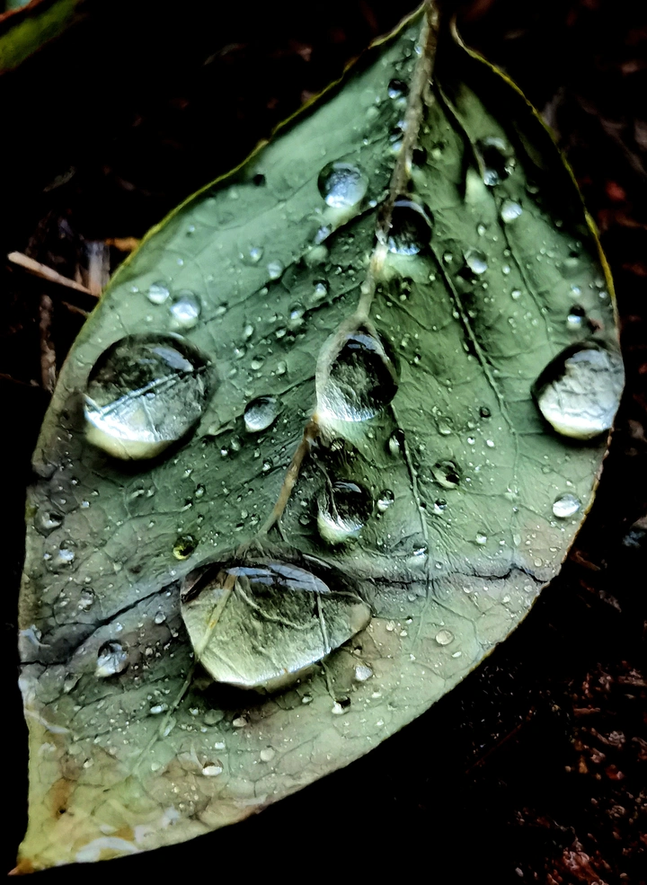 晶莹剔透