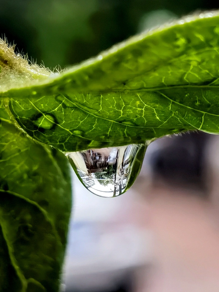 雨后