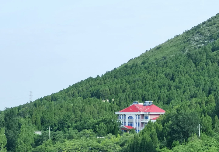 映衬