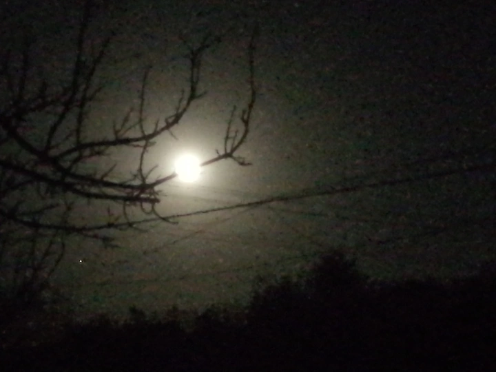 月夜