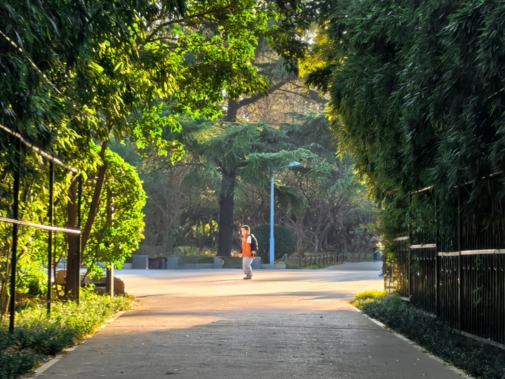 竹林入口处的小男孩