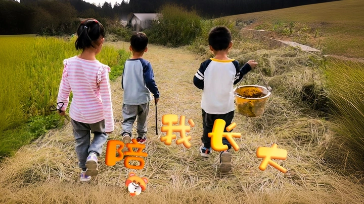 陪我长大的愿望