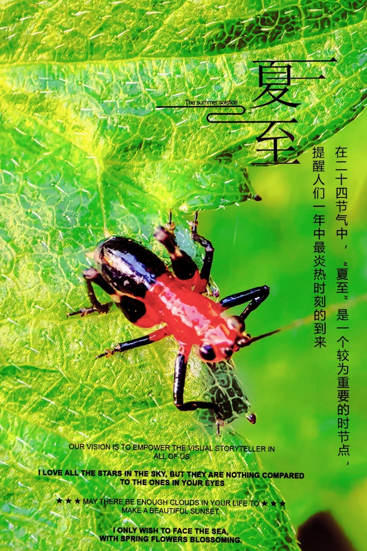 夏至快乐